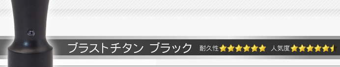会社実印 ブラストチタンブラック