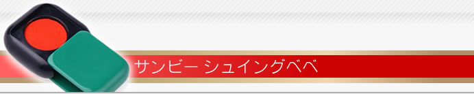 サンビーシュイングベベ