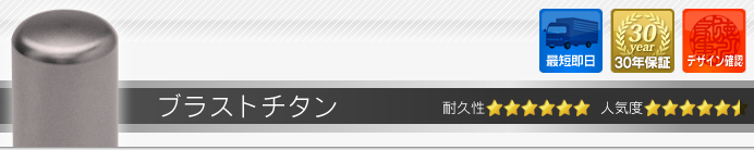 法人印 ブラストチタン