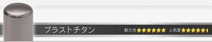 認印・訂正印 2本入りケースセット ブラストチタン