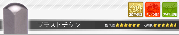 銀行印 ブラストチタン